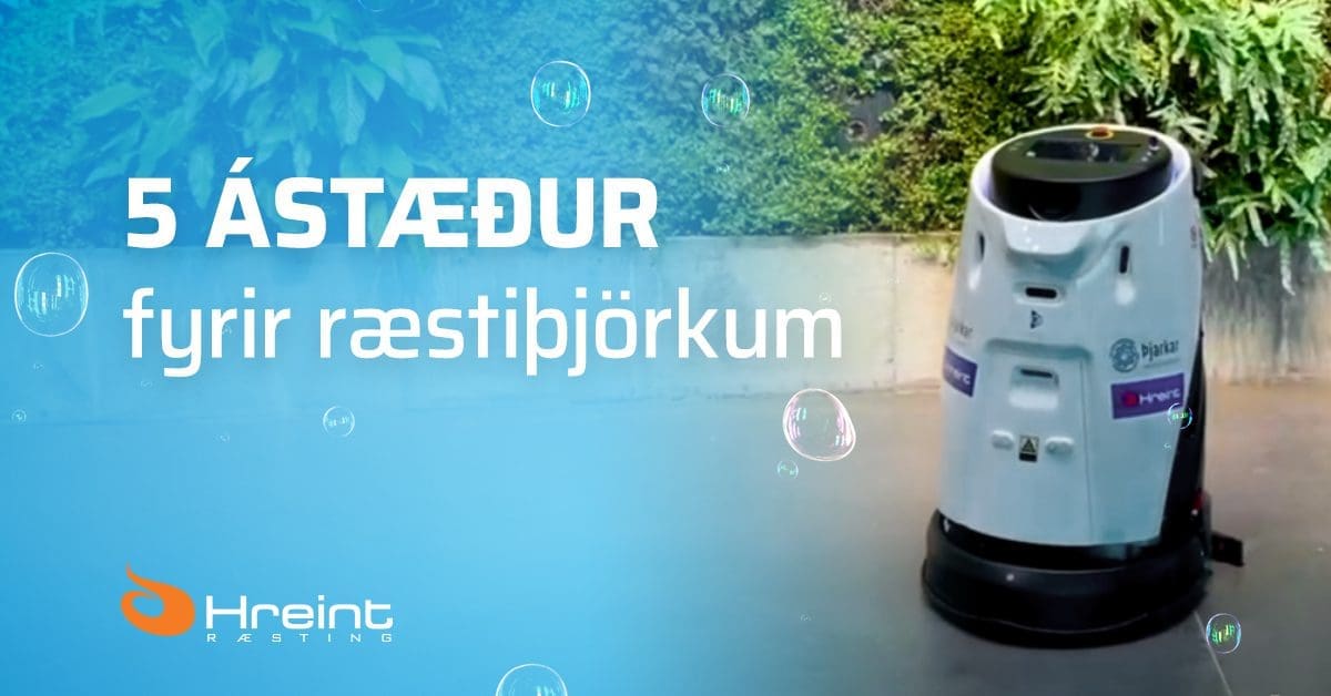 Þrif í fyrirtækjum